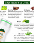 Globus Naturals Amla Reetha Shikakai Shampoo, Natural & Mild Hair Cleanser, For for Healthy Hair and Scalp, Suitable For All Hair Types