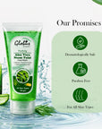 Aloe Vera Neem Tulsi Face Wash, 100 ml