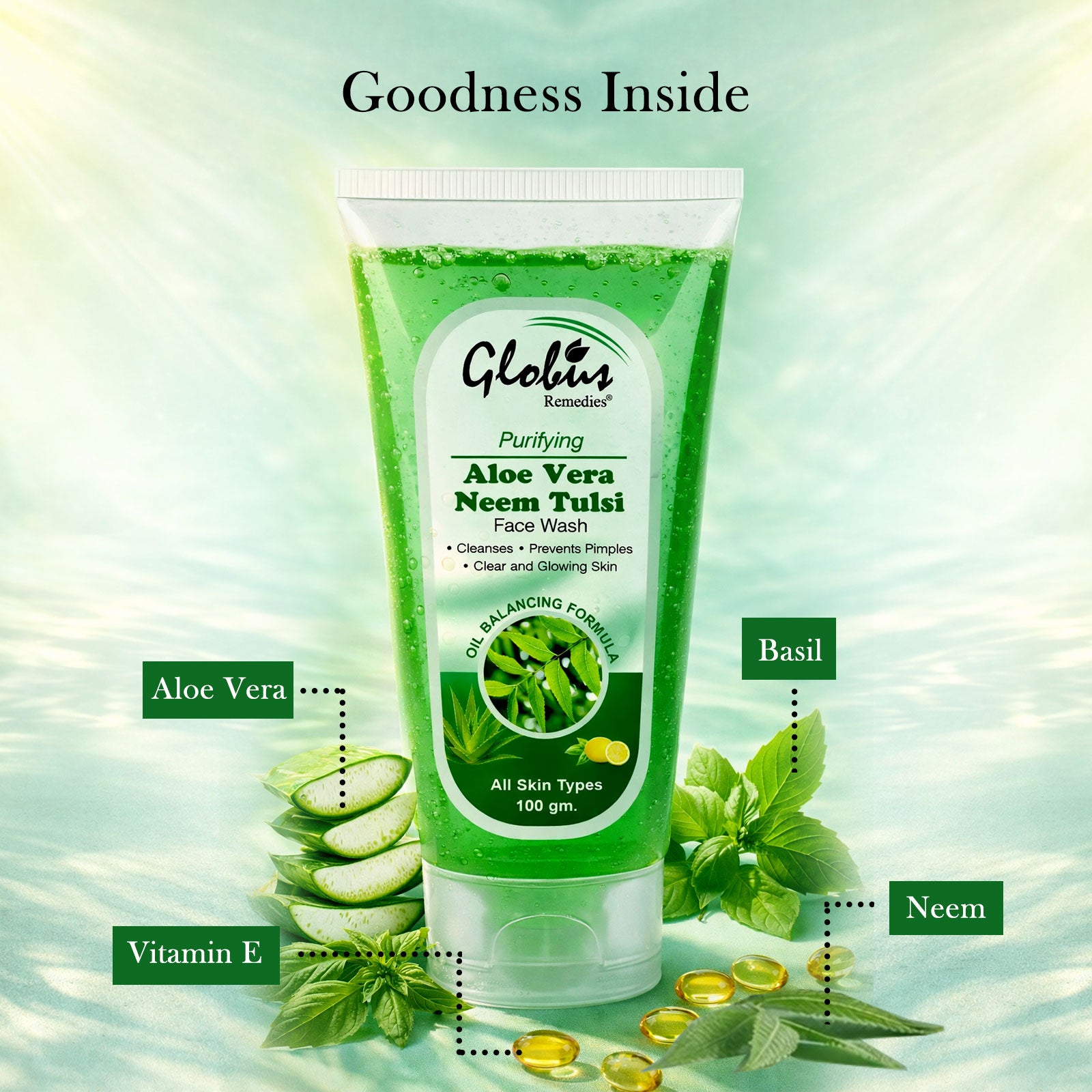 Aloe Vera Neem Tulsi Face Wash, 100 ml