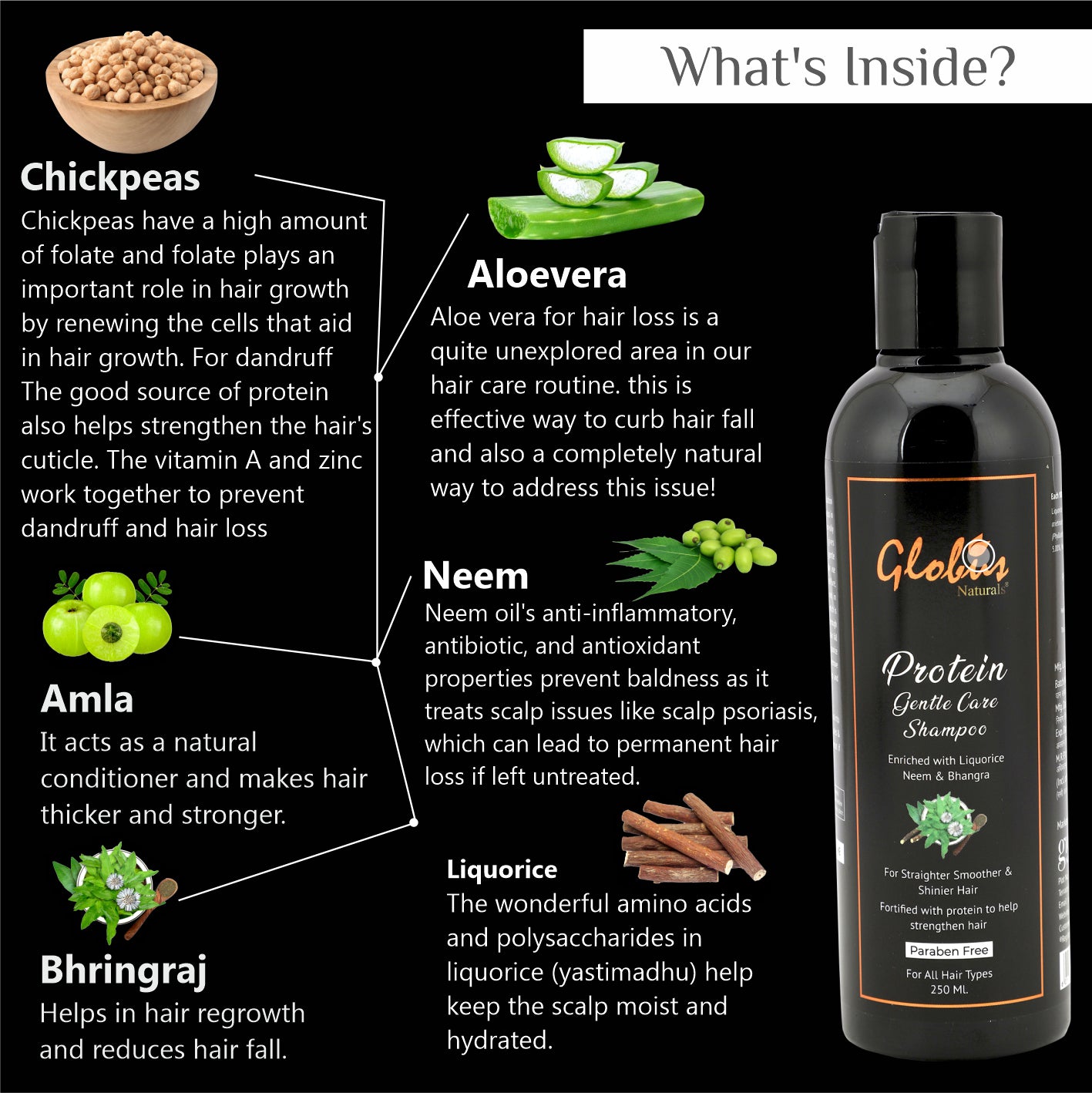 whats inside Globus Naturals Protein Gentle Care Hair Growth Shampoo Enriched with Liquorice,Bhringraj 