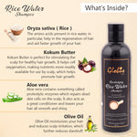 Whats Indside Revitalizing Rice Water Shampoo 